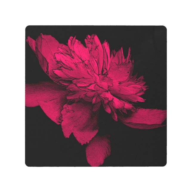 Peony Abstract Floral Art Metal Print (Front)