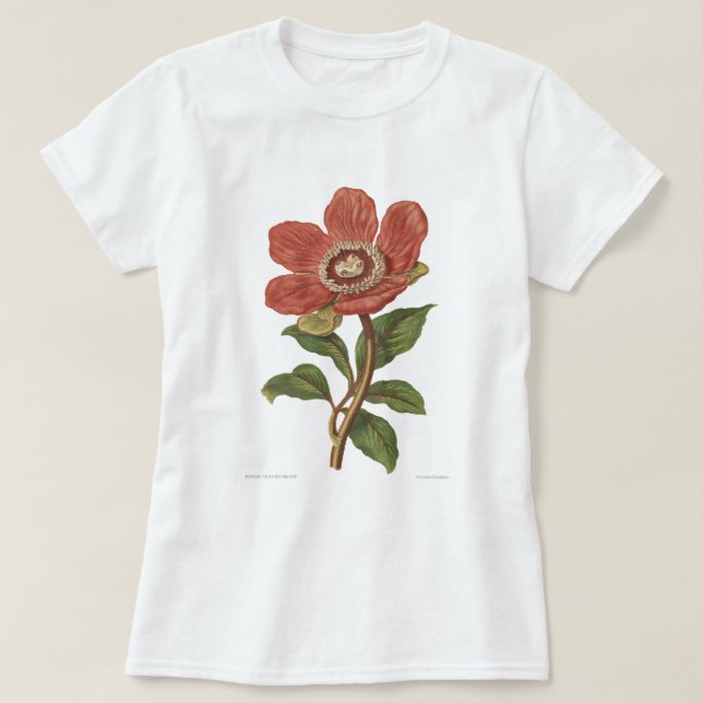 Peony, Antique Victorian Botanical Image T-Shirt (Design Front)
