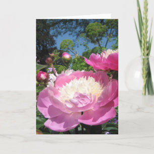 Peony birthday card