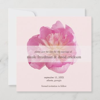 Peony Bloom Pink Modern Wedding Save The Date by FidesDesign at Zazzle