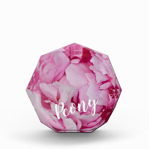 Peony Blossom Rose for flower and garden lovers Acrylic Award