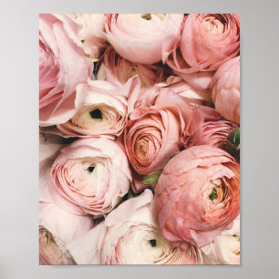 Peony, blush print, pink flower photography, poster