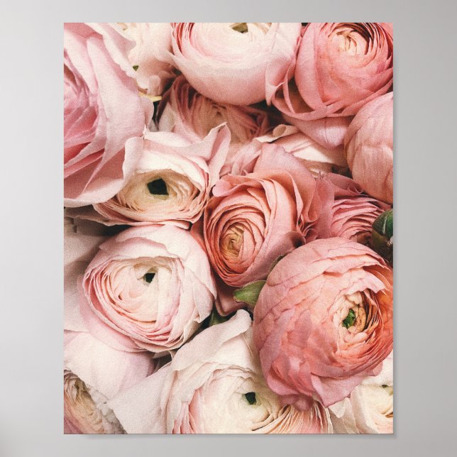 Peony, blush print, pink flower photography, poster (Front)