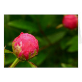 Peony Bud Card (Front Horizontal)