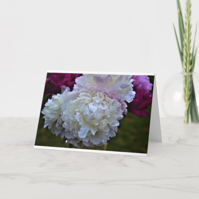 Peony, card (Front)