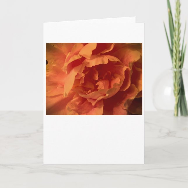 Peony, card (Front)