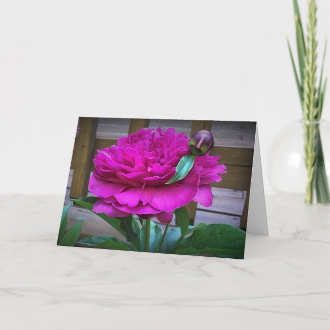 Peony, card (Front)