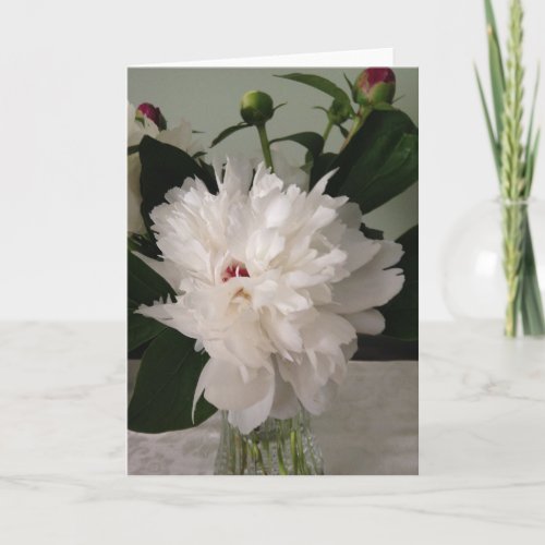 Peony Card