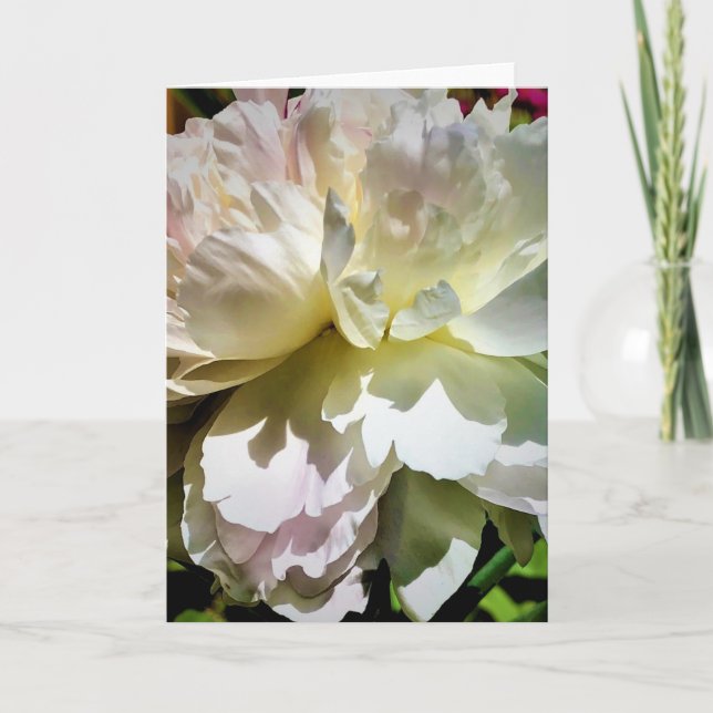 Peony, card (Front)
