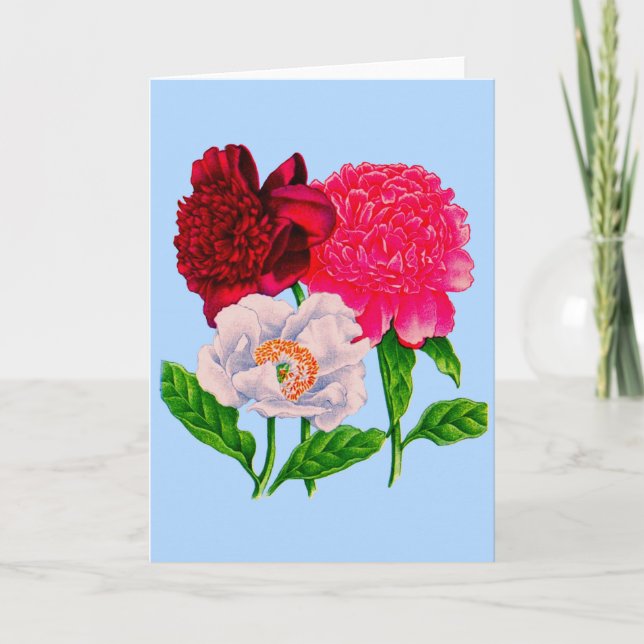 peony card (Front)
