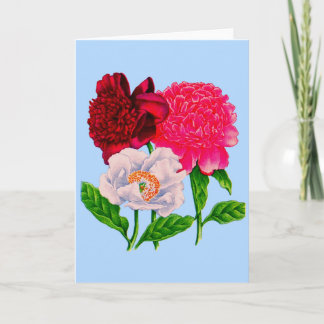 peony card