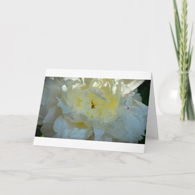 Peony, card (Front)