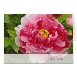 peony cards