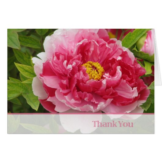 peony cards (Front Horizontal)