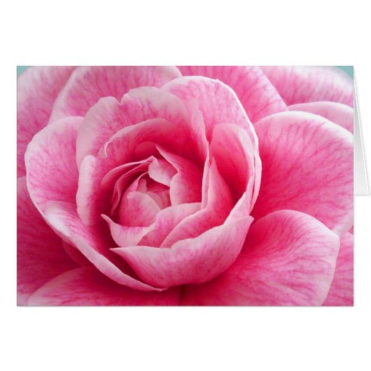 Peony Cards (Front Horizontal)