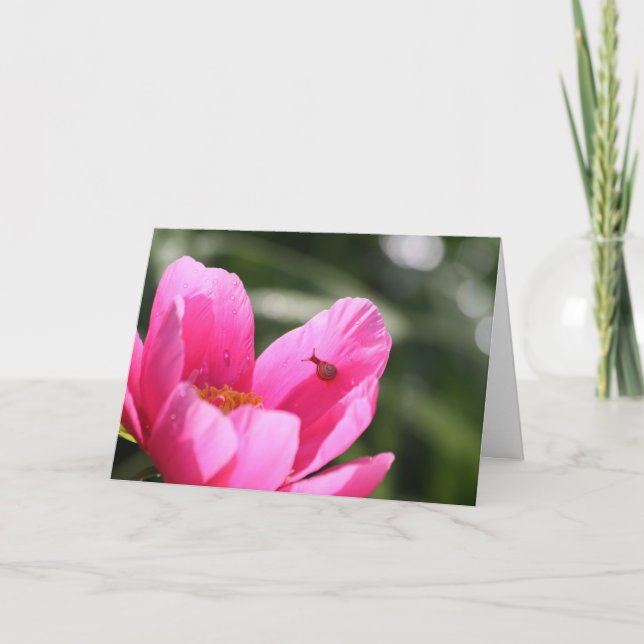 Peony "Chameleon" Card (Front)