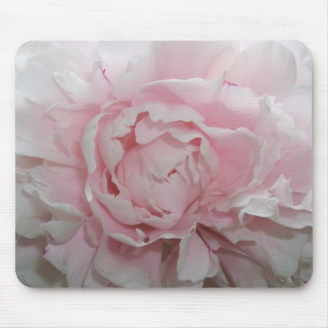 Peony Close Up Mousepad (Front)