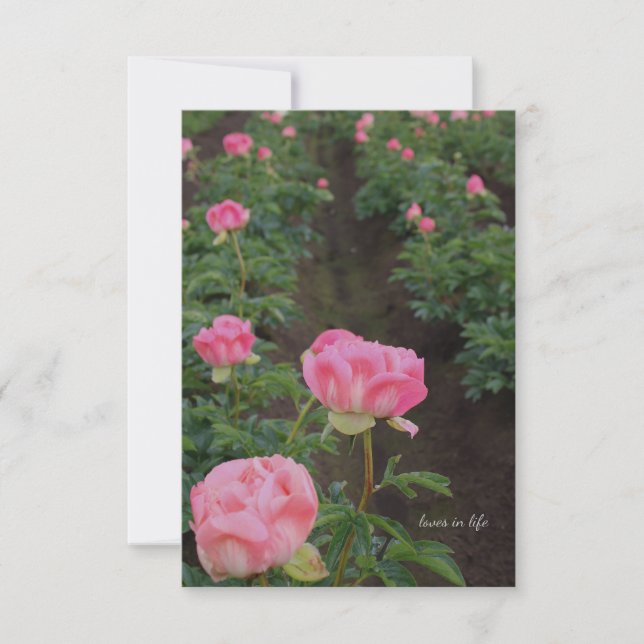 Peony Field Note Card (Front)