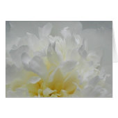 Peony Flames (Front Horizontal)