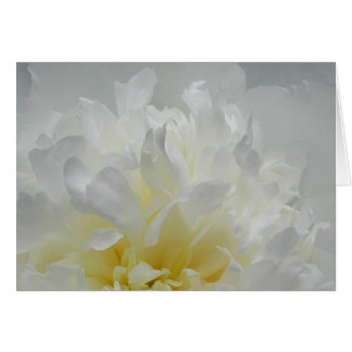 Peony Flames Cards
