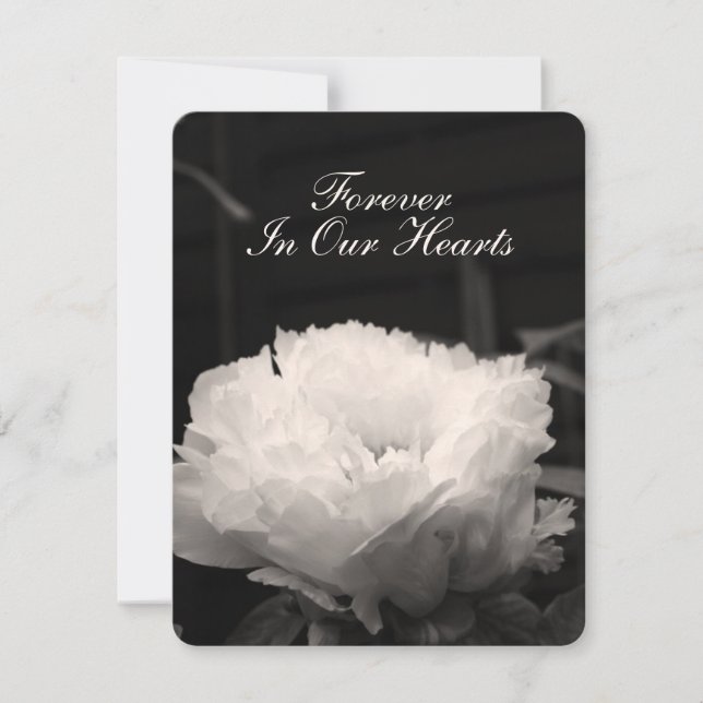 Peony Floral Photography 1 Funeral Announcement (Front)