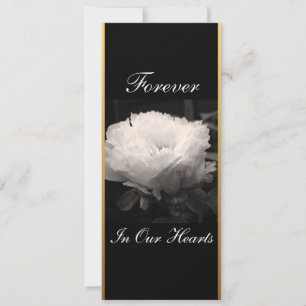 Peony Floral Photography 3 Funeral Announcement