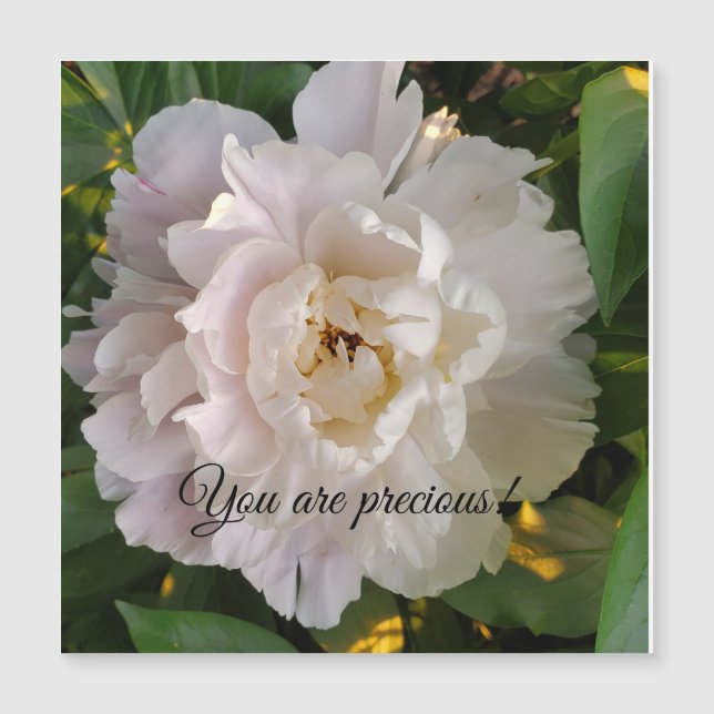 Peony flower (Front)