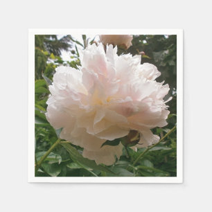 Peony. Flower. Napkins