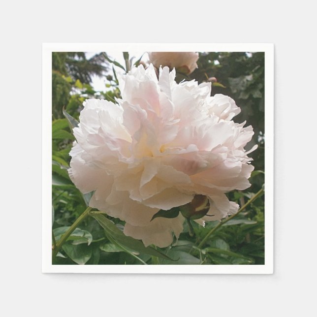 Peony. Flower. Napkins (Front)