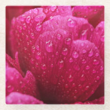 Peony Flower Rain Drops