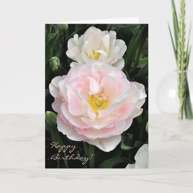 Peony flowered tulip birthday card (Front)
