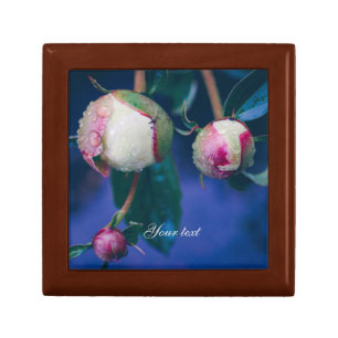 Peony flowers after rain gift box