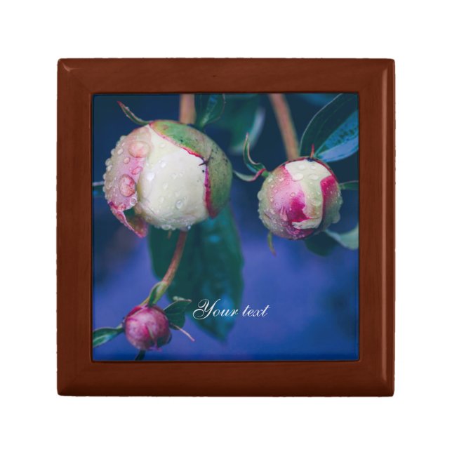 Peony flowers after rain  gift box (Front)