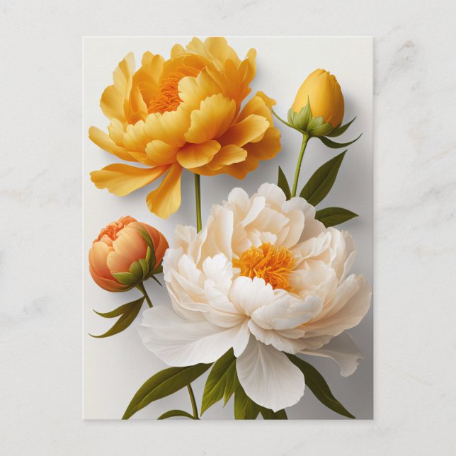 Peony Flowers Postcard (Front)