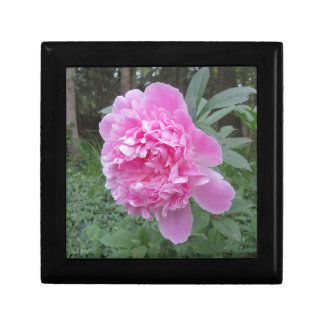 Peony Gift Box