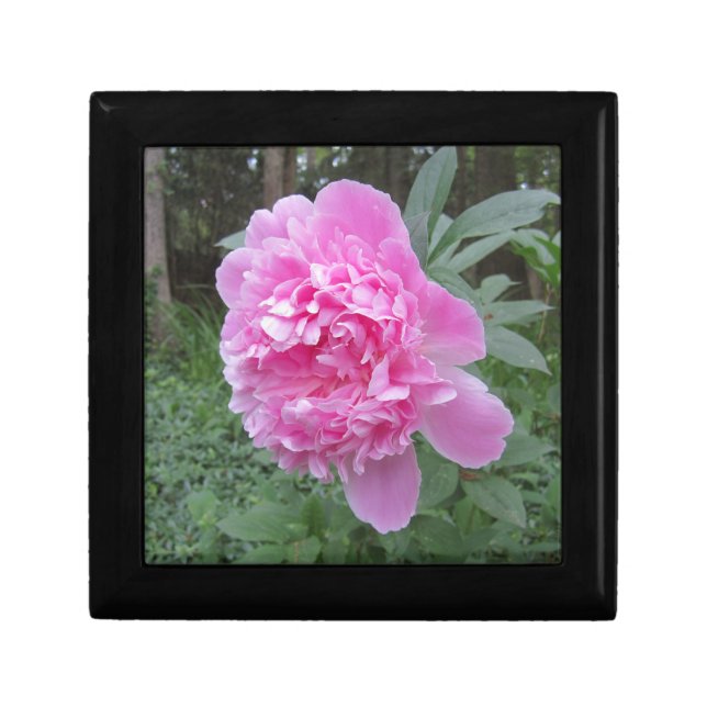 Peony Gift Box (Front)