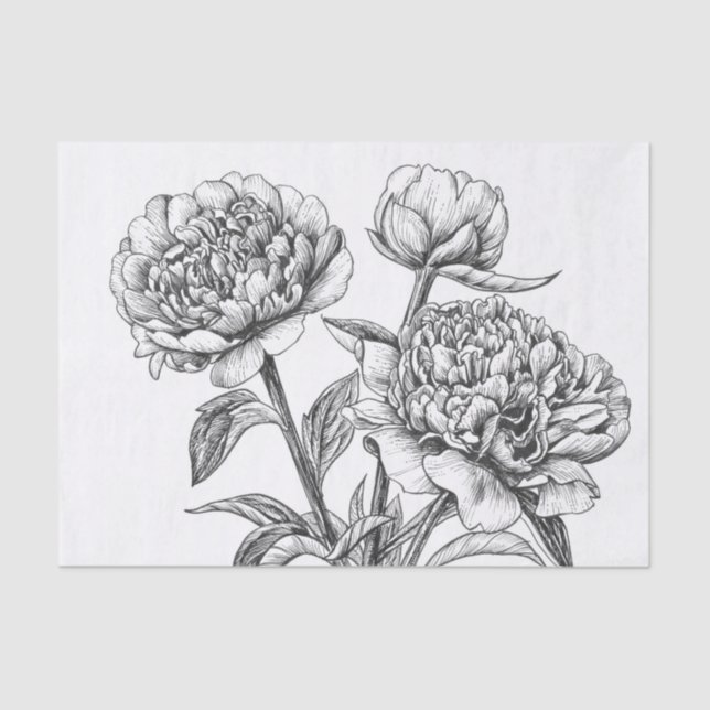 Peony ink drawing tissue paper (Front)