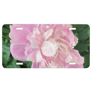 Peony License Plate
