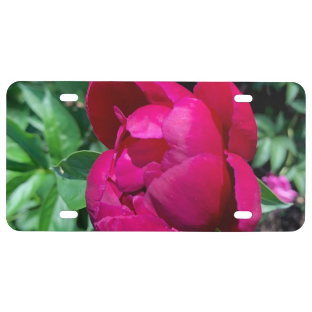 Peony License Plate (Front)