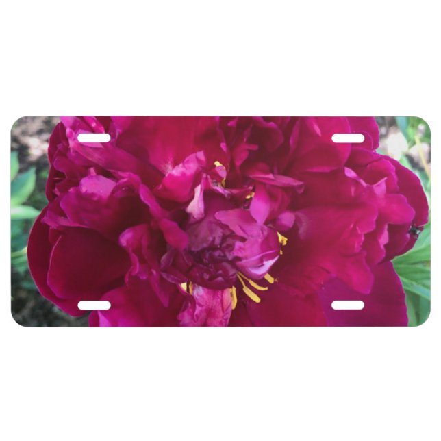 Peony License Plate (Front)