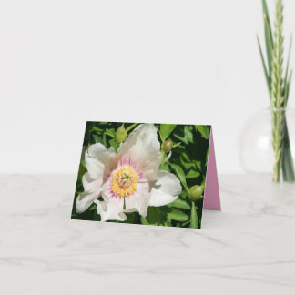 Peony Love Thank You Card