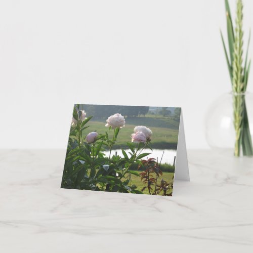 Peony notecard