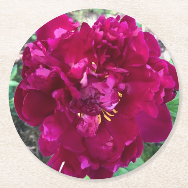 Peony Paper Coaster (Front)