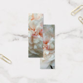 Peony Petals (Office)