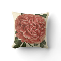 Peony Pillow Anitque Bontanical Illustration