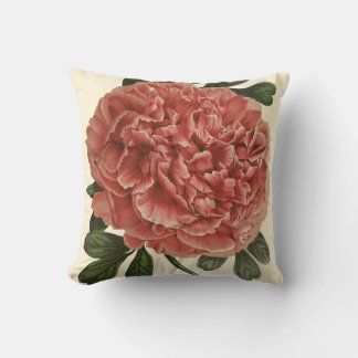 Peony Pillow Anitque Bontanical Illustration