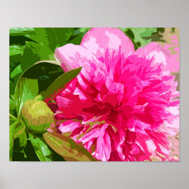 Peony Pink Flower Poster (Front)