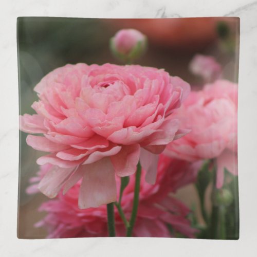 Peony Pink Ranunculus Closeup Trinket Tray