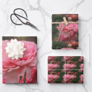 Peony Pink Ranunculus Closeup Wrapping Paper Sheets