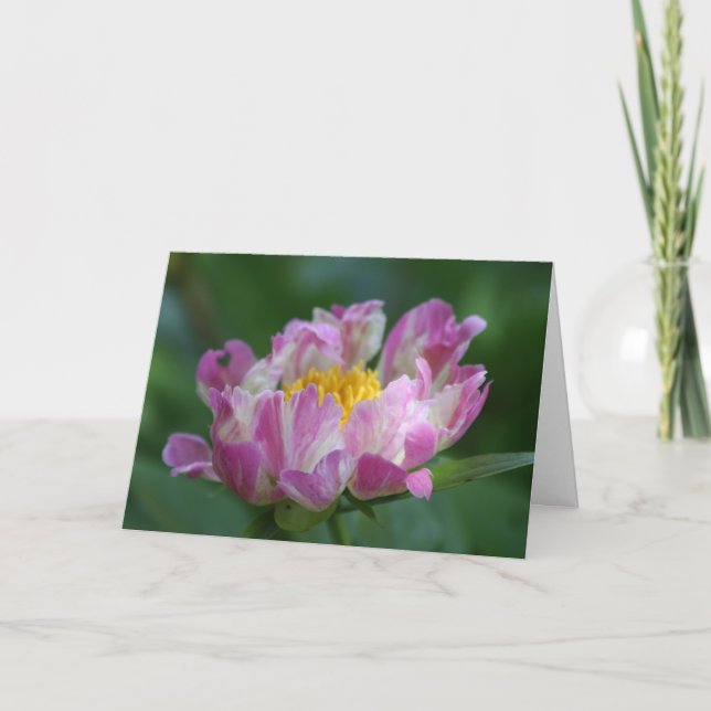 Peony "Pink Spritzer" Card (Front)
